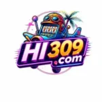 HI309 Game